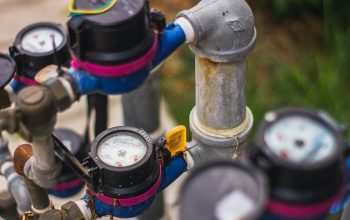 pexels photo 4494655